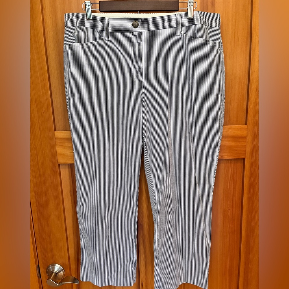 LAND’S END Size 14 Fit 2 NWOT Crop Pants Blue White Stripe